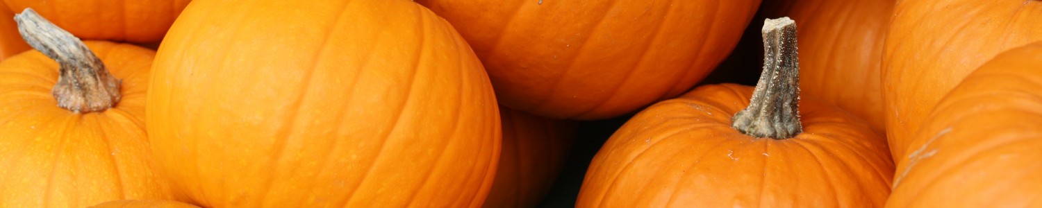 Gallmeyer Farms "The Veggie Stand" photo 2